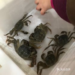 周氏水产阳澄湖大闸蟹 下沙店